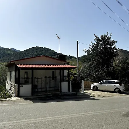 Lupin Near The Fodele